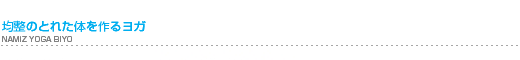 NAMIZ ヨガレッスン